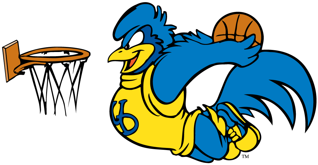 Delaware Blue Hens 1999-Pres Mascot Logo 06 iron on paper